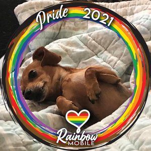 Meet your Posher, Sue